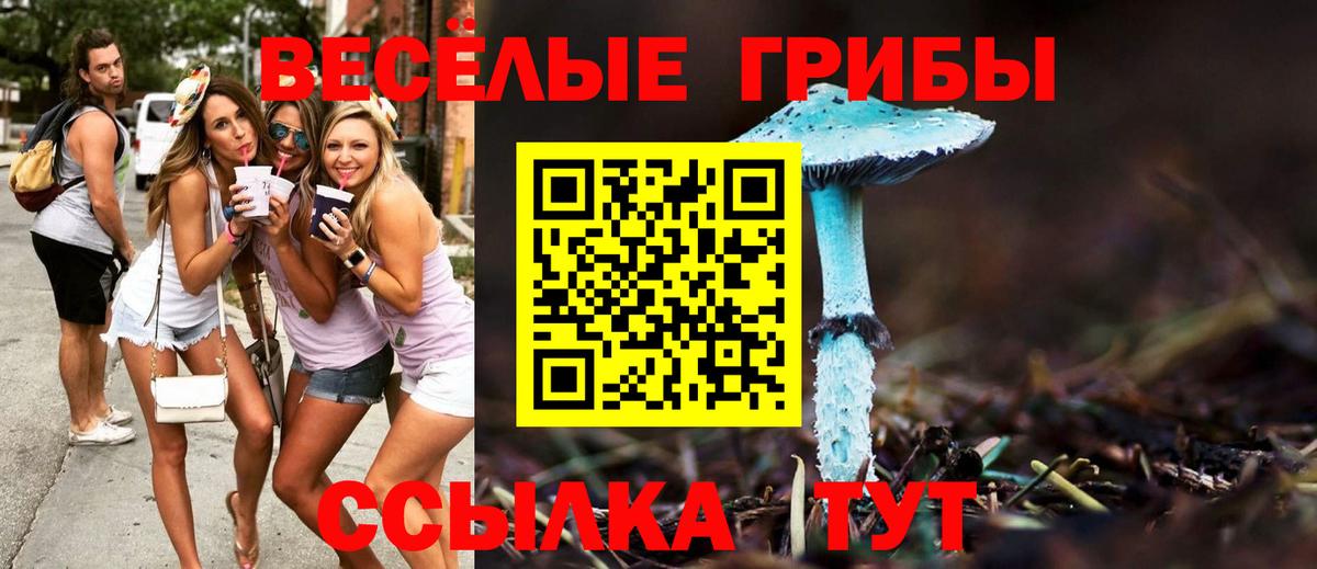 Печора  Галлюциногенные грибы Psilocybe  Вход с VPN  Псилоцибиновые грибы ЛСД 